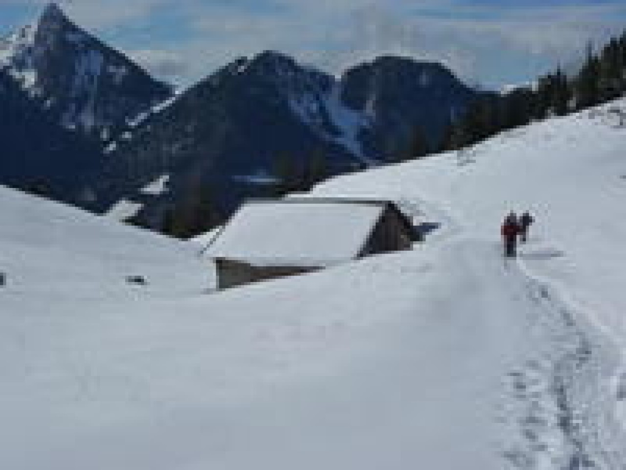 Chablais Snowshoeing
