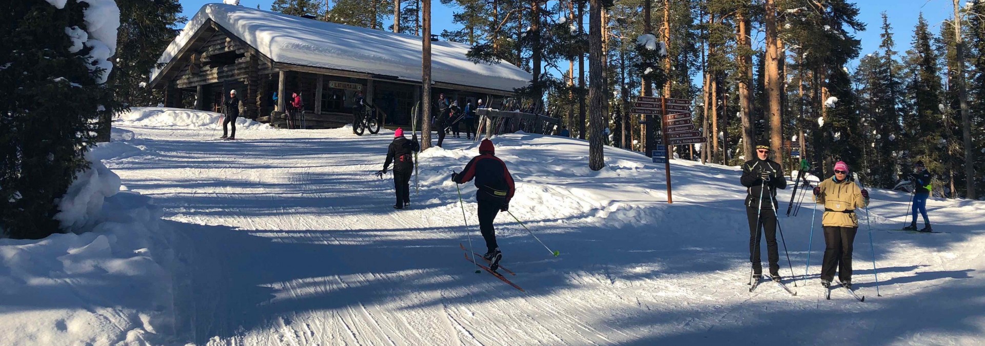 Cross country skiing in Lapland