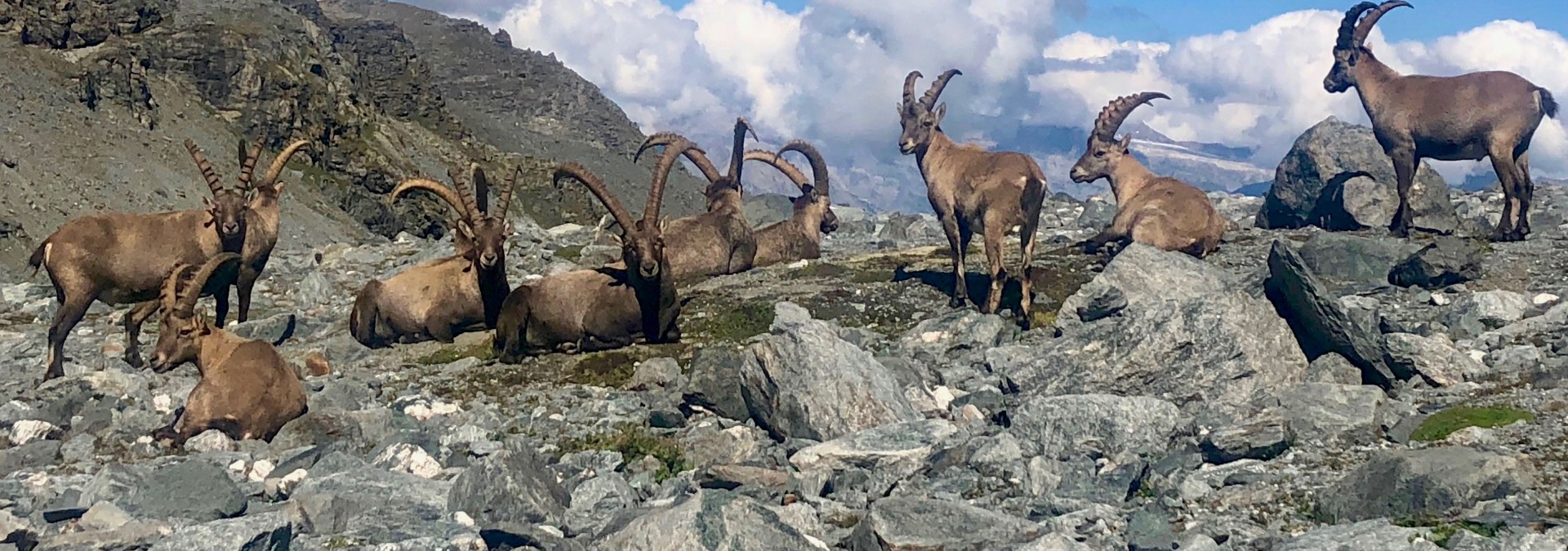 Classic Haute Route: Camonix to Zermatt