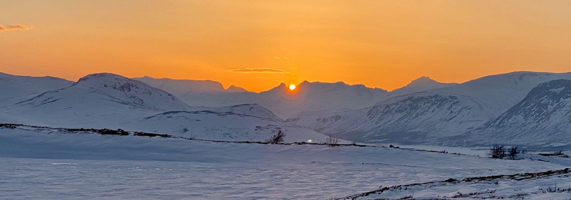 Jotunheimen Pines to Peaks