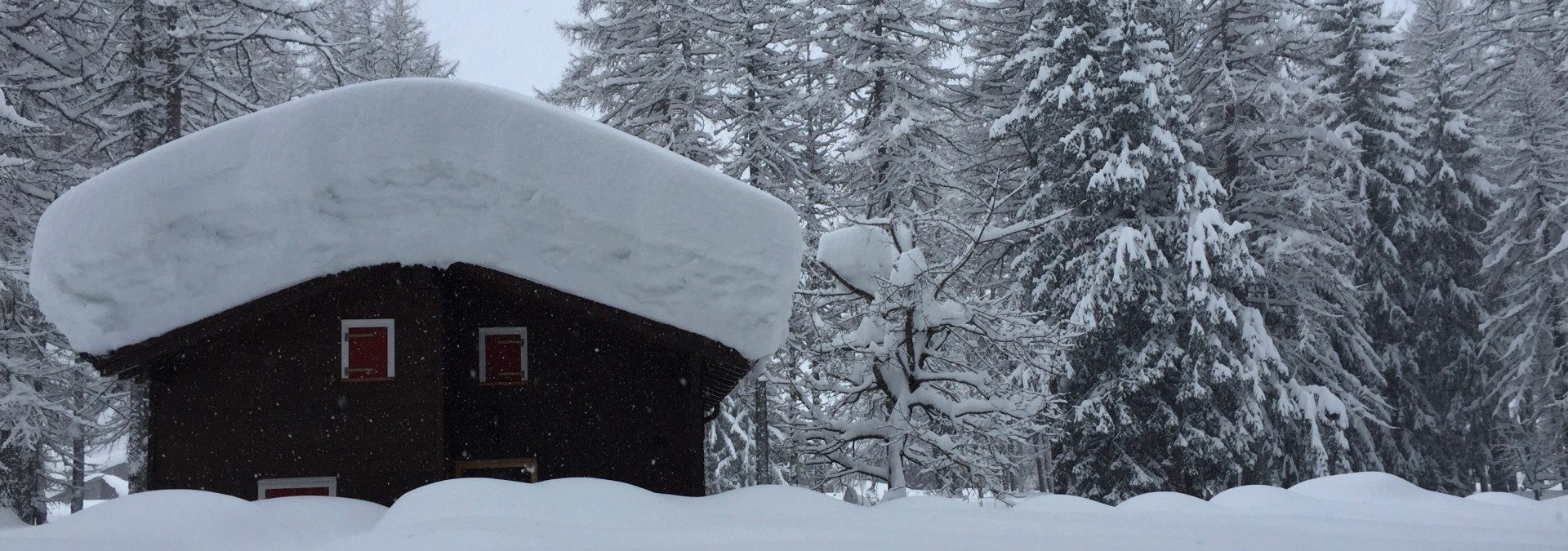 Swiss Alps Ski: Gorgeous Goms!