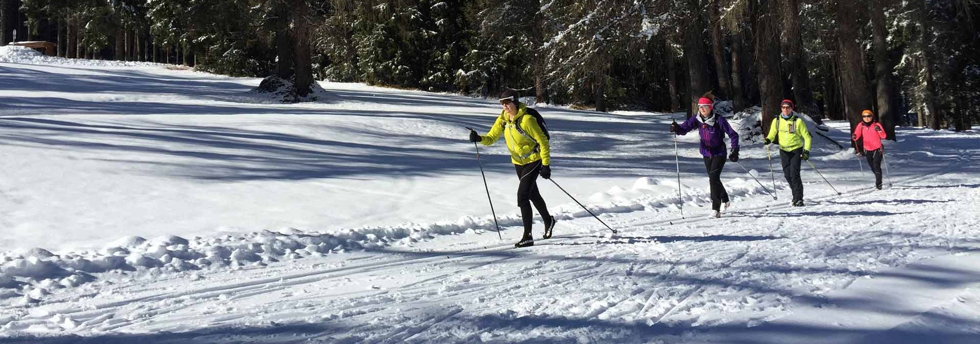 Dolomites Ski Highlights - demonstrating 'classic' skiing technique in the forest