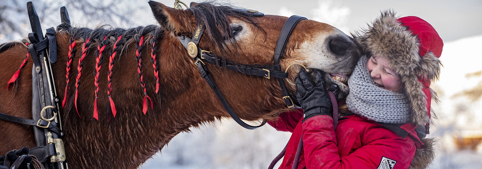 Horse Kiss!