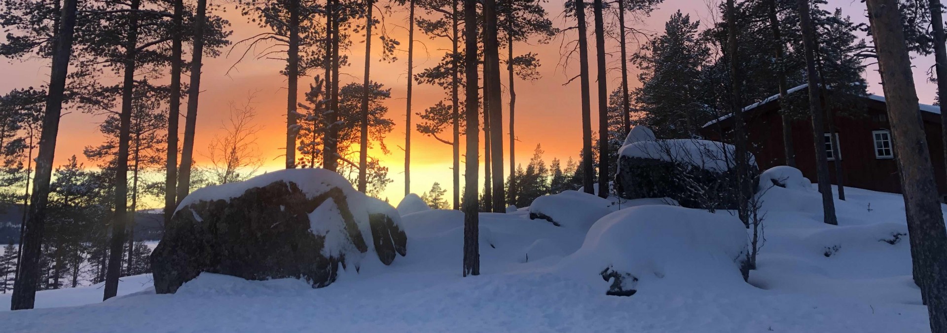 The Hallingdal Track