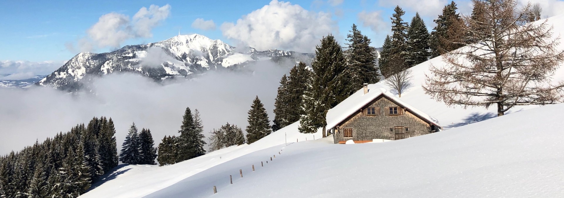 Snowshoeing in the Allgäu Alps