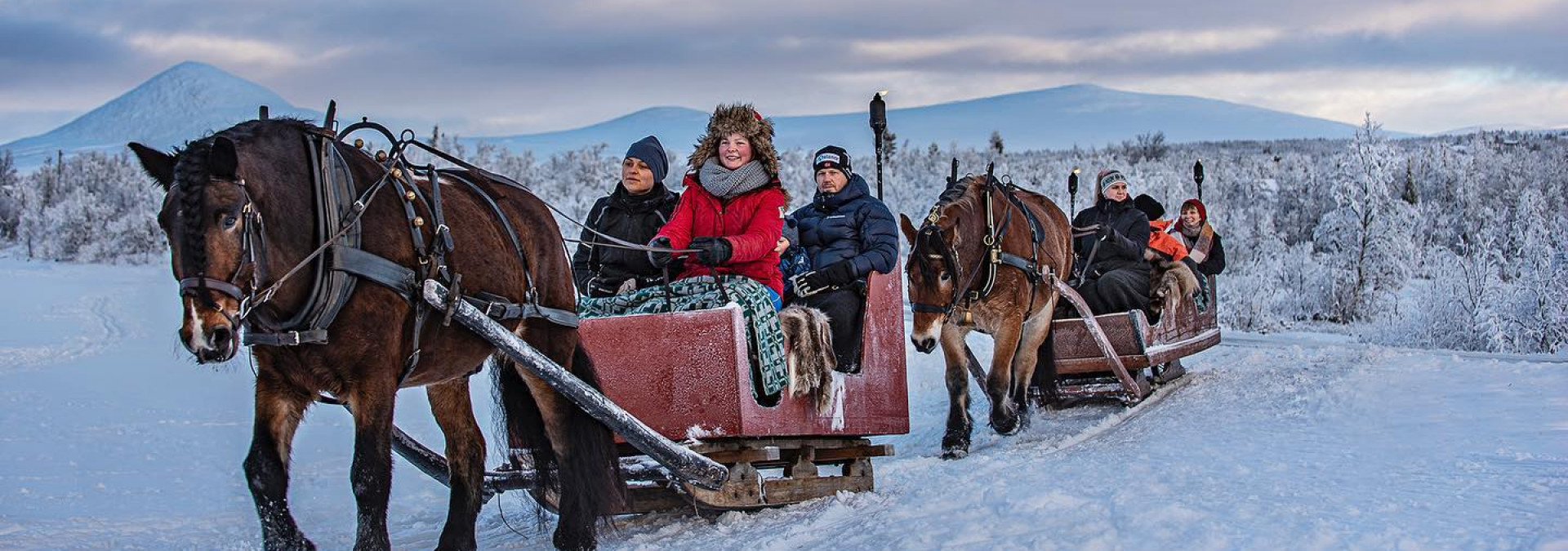 Winter Family Adventure: Sleigh ride