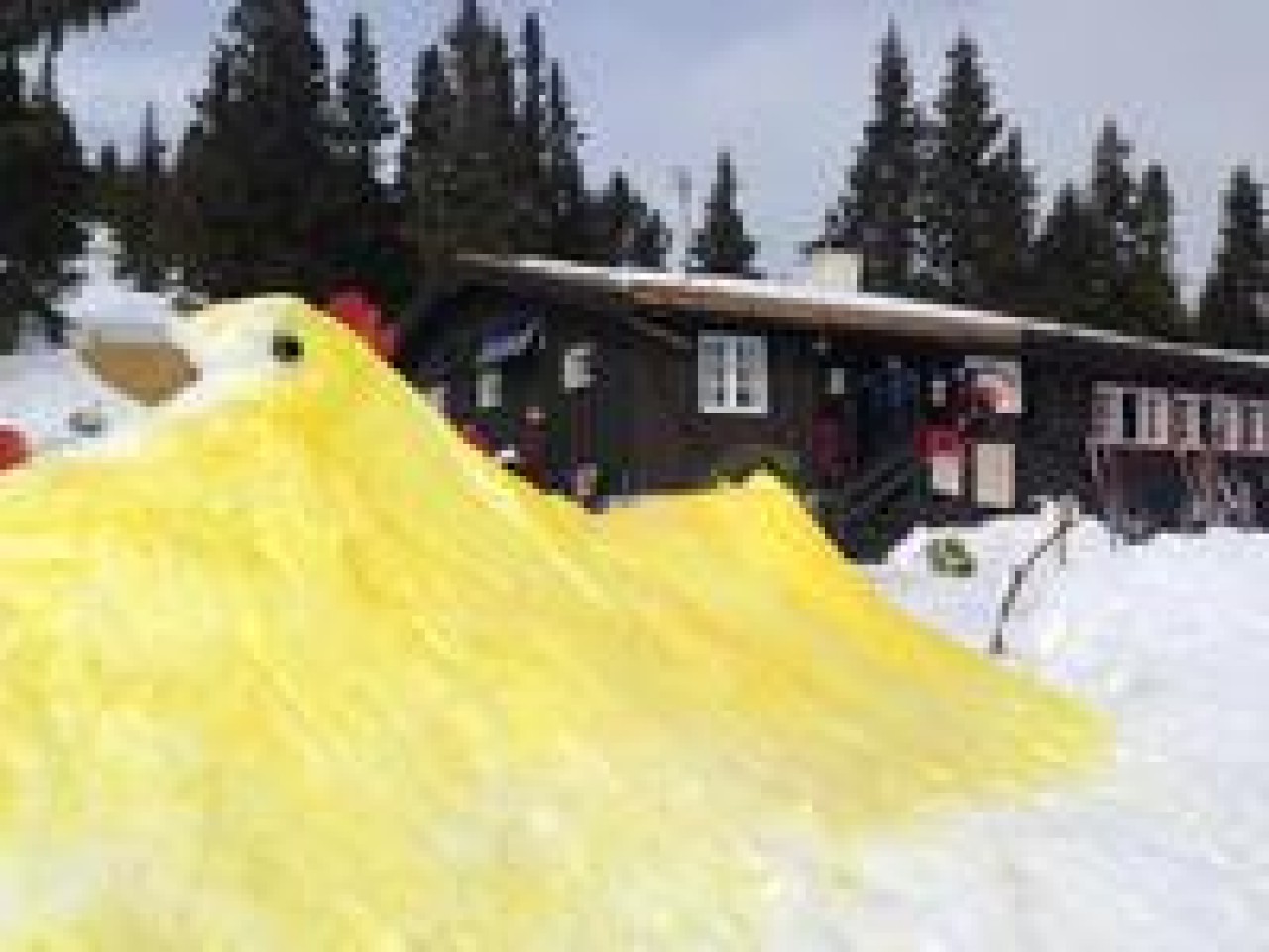 Easter Snow Chicken!