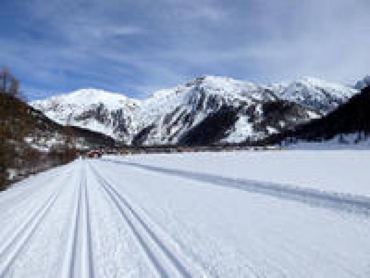 Swiss Ski Safari!