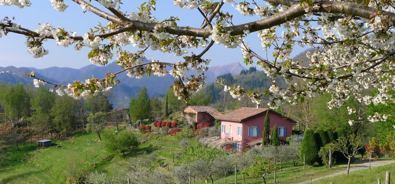 Hopes of Spring in hidden Tuscany