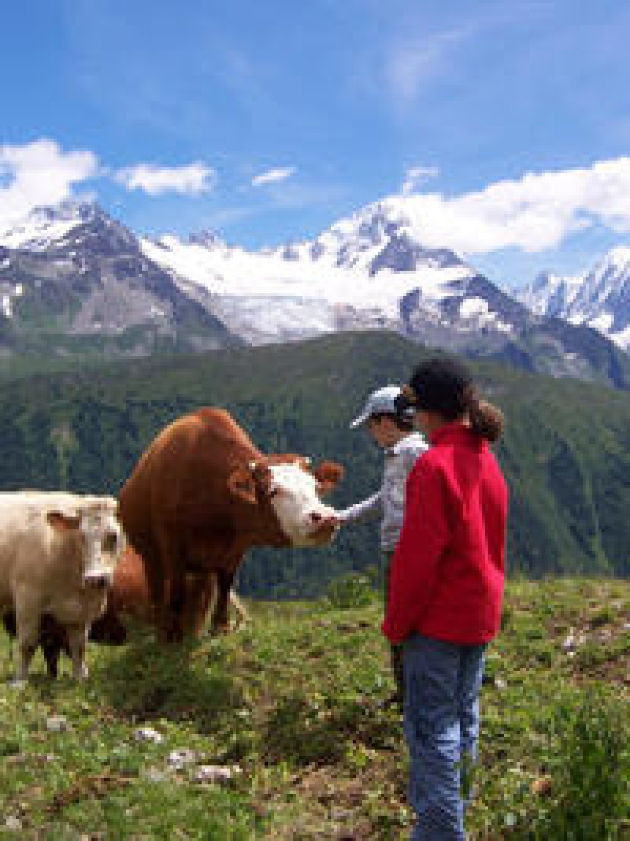 Making Friends in the Mountains