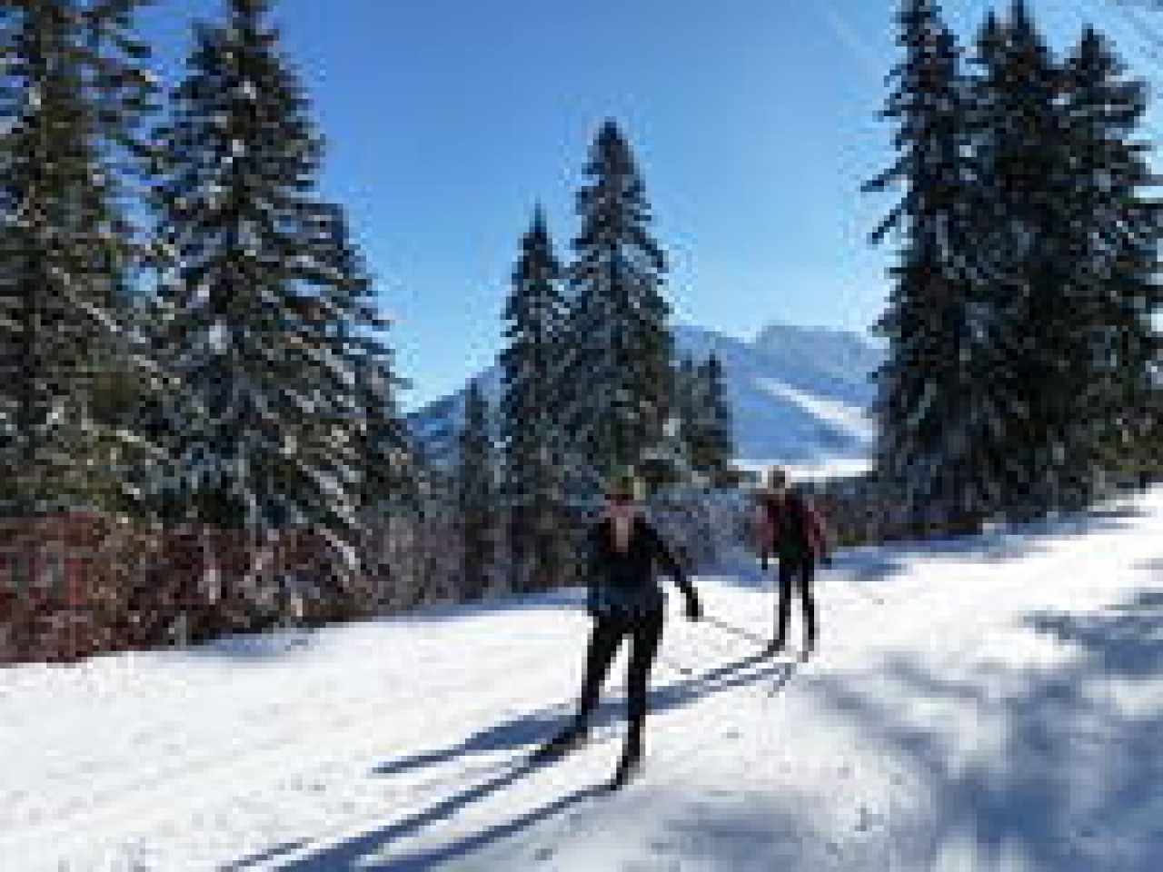Two NEW snowshoe trips