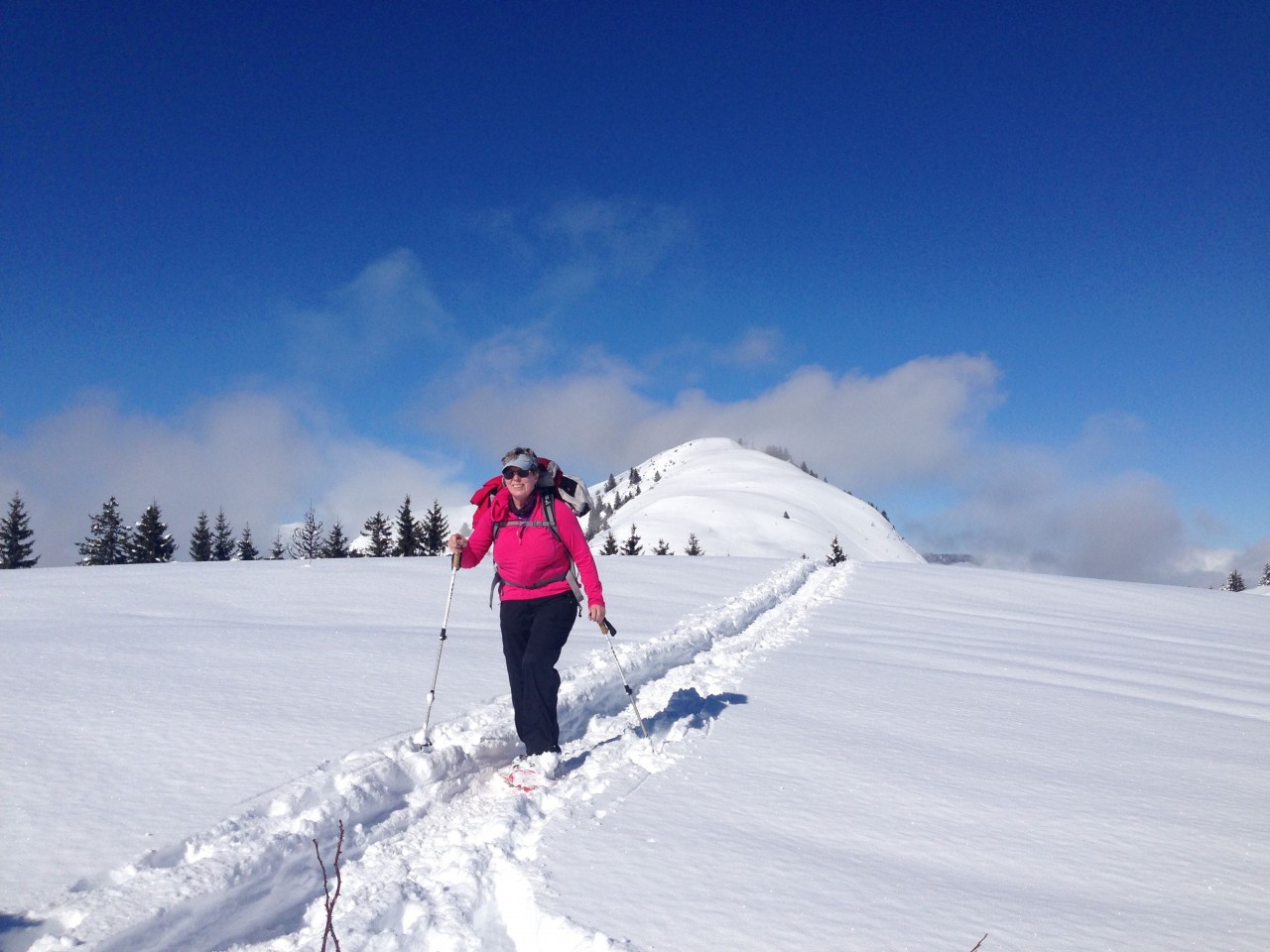 Snowshoeing in the Alps