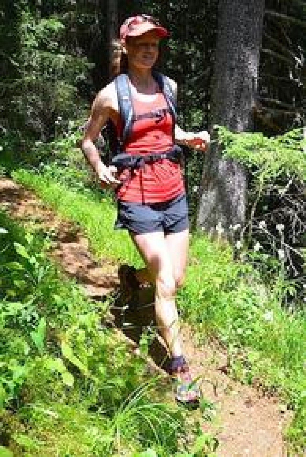 Enter the Nordic hamstring exercise